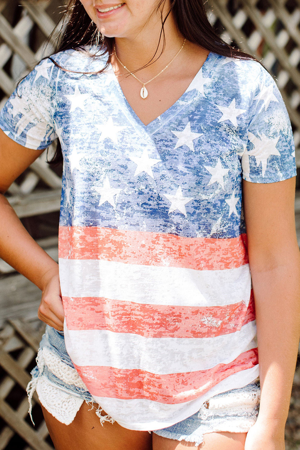 Sky Blue Plus Size Vintage American Flag Print V Neck T Shirt