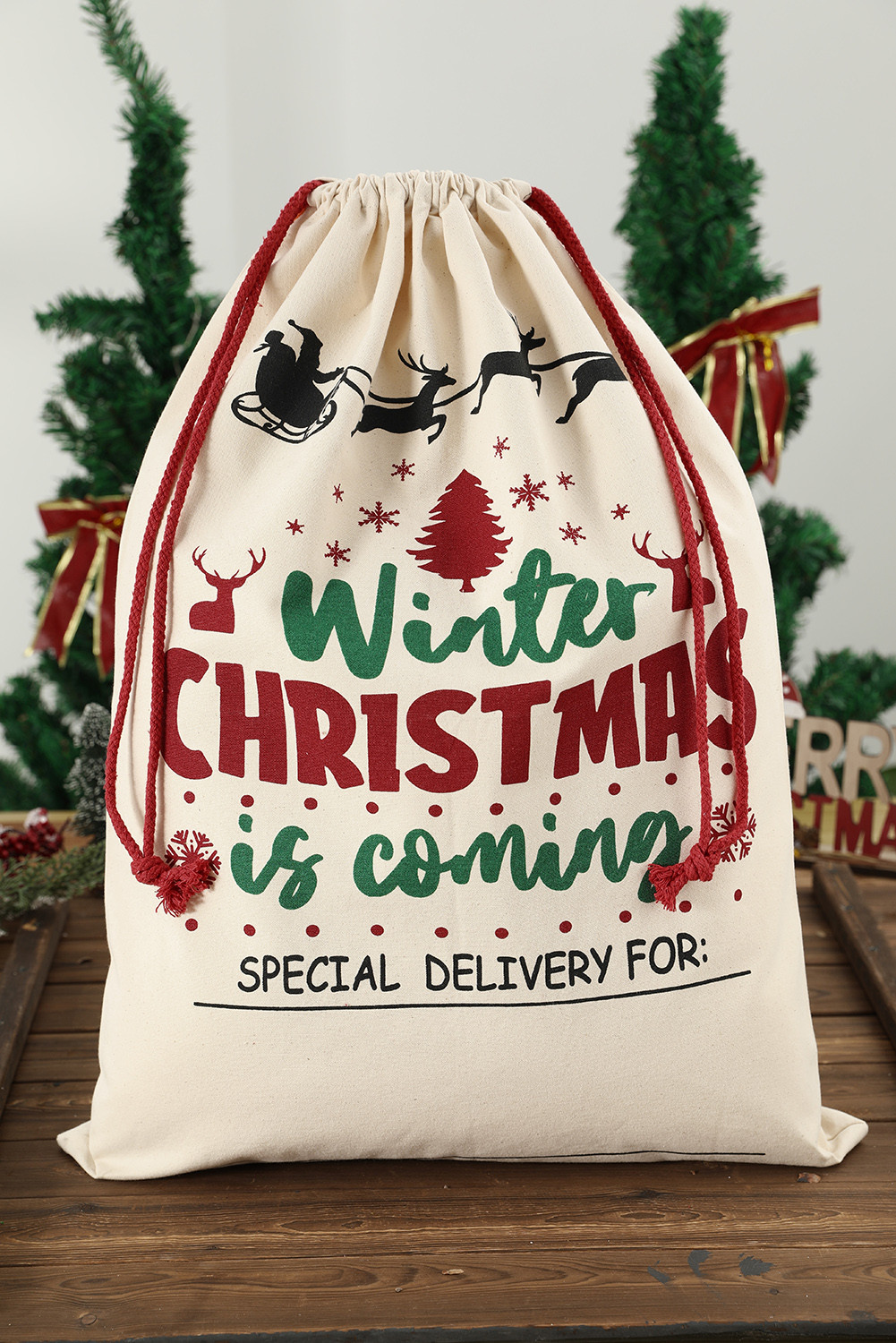 Multicolor Christmas Drawstring Canvas Goody Gift Bag