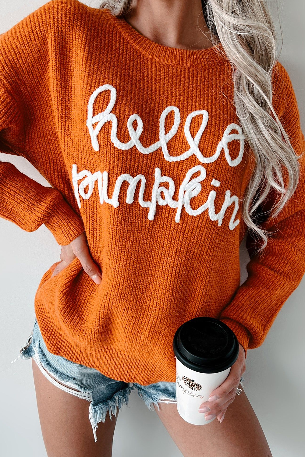 Shewin Dropship FLAMINGO Hello Pumpkin Graphic Sweater