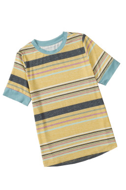 Multicolor Casual Stripes Crew Neck T Shirt