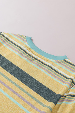Multicolor Casual Stripes Crew Neck T Shirt