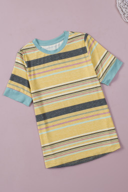 Multicolor Casual Stripes Crew Neck T Shirt