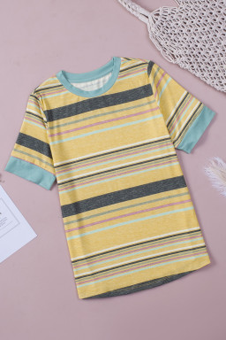 Multicolor Casual Stripes Crew Neck T Shirt