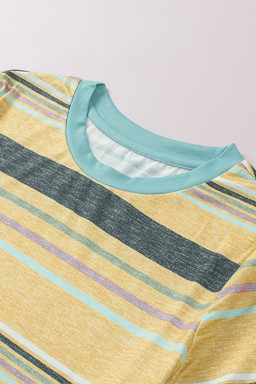 Multicolor Casual Stripes Crew Neck T Shirt