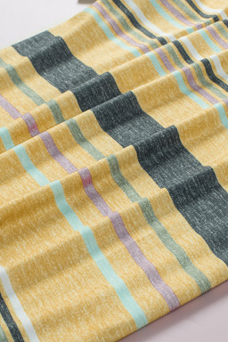 Multicolor Casual Stripes Crew Neck T Shirt