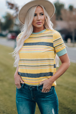 Multicolor Casual Stripes Crew Neck T Shirt