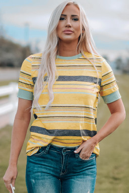 Multicolor Casual Stripes Crew Neck T Shirt