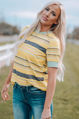 Multicolor Casual Stripes Crew Neck T Shirt