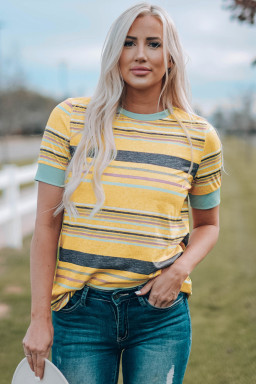 Multicolor Casual Stripes Crew Neck T Shirt