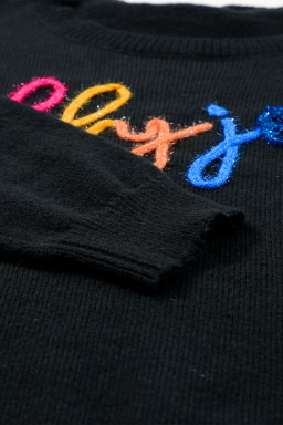 Black Holly Jolly Round Neck Casual Sweater