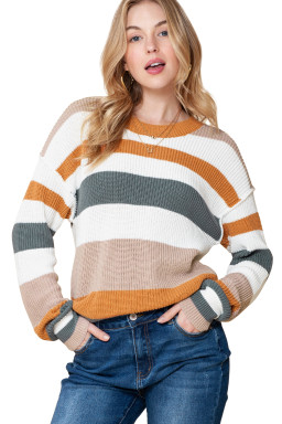 Camel Ribbed Round Neck Color Block Knitted Sweater