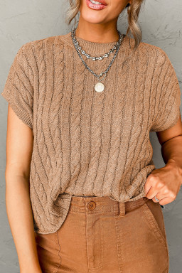Light French Beige Solid Color Cable Knit Short Sleeve Sweater