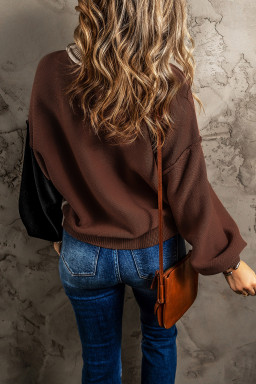 Brown Colorblock Bishop Sleeve Exposed Seam Ribbed Trim Sweater