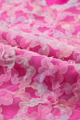 Bonbon Mesh Applique Puff Sleeve Blouse