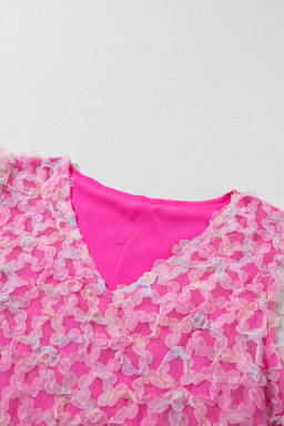 Bonbon Mesh Applique Puff Sleeve Blouse