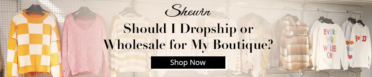 Shoud I Dropship or Wholesale
