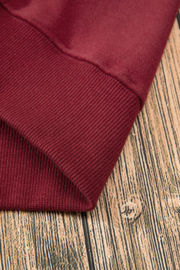 Burgundy Solid Color Drop Shoulder Terry Sweatshirt