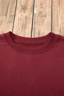 Burgundy Solid Color Drop Shoulder Terry Sweatshirt