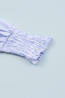 Light Blue Casual Striped Shirred Cuffs Shirt