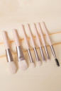 Shewin Copyright