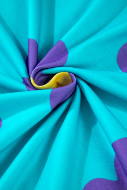 Sky Blue Floral Color Block Long Sleeve Top