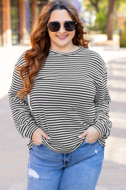 Black Striped Drop Shoulder Knit Plus Size Top