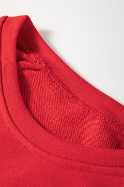 Red Santa Claus Graphic Crewneck Raglan Sleeve Christmas Sweatshirt