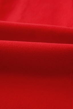 Fiery Red Solid Color Casual Zipper Hooded Jacket