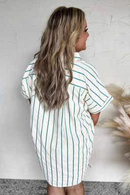 Green Stripe Plus Size Patch Pocket Shirt Mini Dress