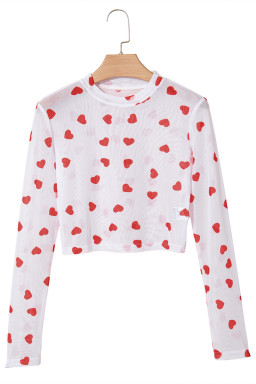 White Heart Print Mesh Long Sleeve Top