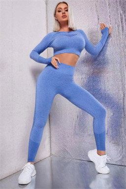 Sky Blue Solid Color Long Sleeve Crop Top Leggings Yoga Sports Set