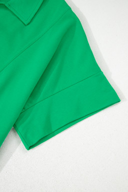 Bright Green Turn-Down Collar Plain Plus Size Blouse