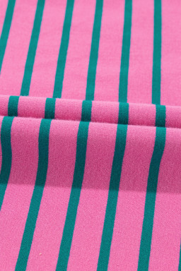 Rose Stripe Collared Puff Sleeve Pocket Plus Size Pop of Color Neckline Dress