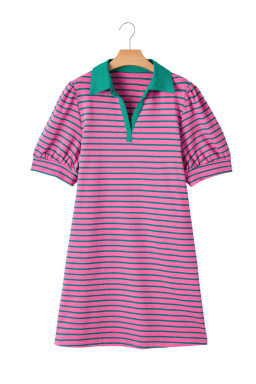 Rose Stripe Collared Puff Sleeve Pocket Plus Size Pop of Color Neckline Dress
