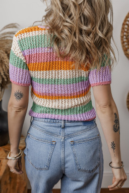 Orange Colorblock Striped Cropped Pointelle Knit Top
