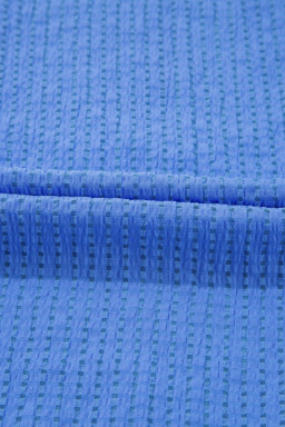 Sky Blue Floral Embroidered Puff Sleeve Plus Size Mini Dress