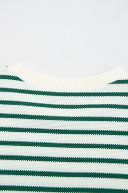 Green Stripe Scallop Lace Trim Ruffle Sleeve Crewneck Top