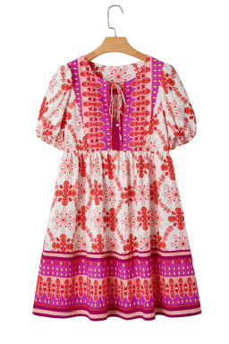Rose Boho Floral Short Sleeve Tie V Neck Mini Dress