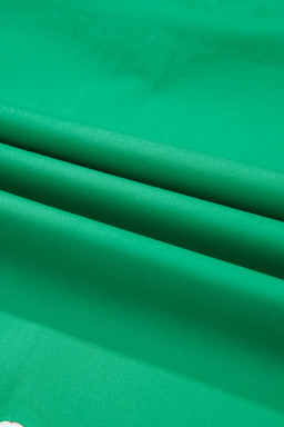 Bright Green Scallop Trim V Neck Layered Short Sleeve Blouse