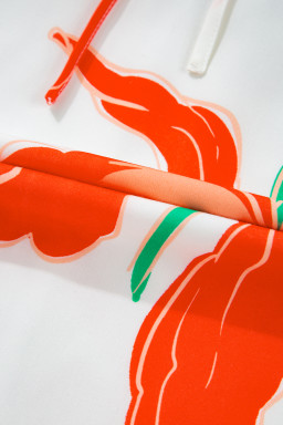 Red Floral Print Tie Front Ruffle Hem Mini Dress