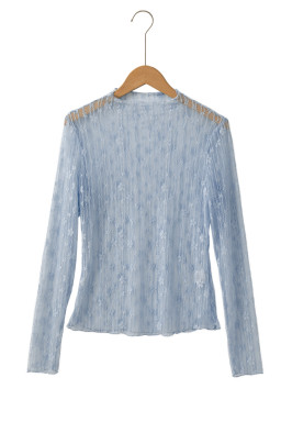 Ashleigh Blue Sheer Floral Lace Long Sleeve Slim Fit Top
