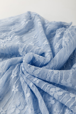 Ashleigh Blue Sheer Floral Lace Long Sleeve Slim Fit Top