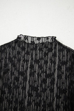 Black Sheer Floral Lace Long Sleeve Slim Fit Top
