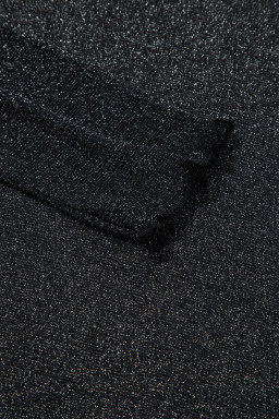 Black Metallic Glitter Mesh Long Sleeve Top