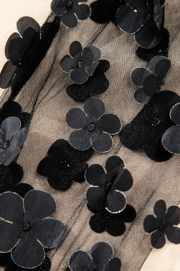 Black Flower Applique Mesh Long Sleeve V Neck Top