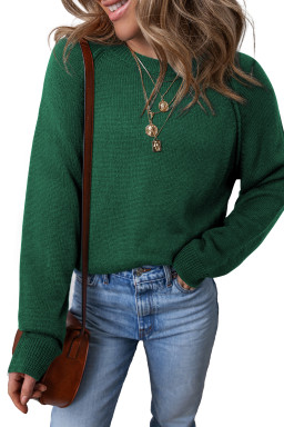 Evergreen Plain Raglan Sleeve Crew Neck Sweater