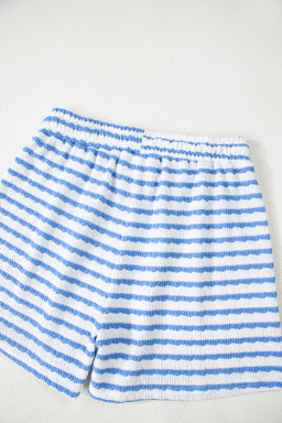 Sky Blue Striped Print Short Sleeve Top and Pocket Shorts Set