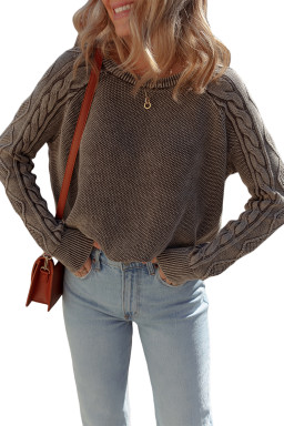 Dark Brown Cable Knit Raglan Sleeve Casual Sweater