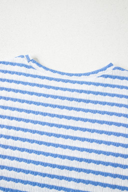 Sky Blue Striped Print Short Sleeve Top and Pocket Shorts Set