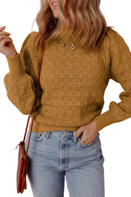 Jurassic Gold Hollow Out Crochet Ribbed Edge Balloon Sleeve Sweater